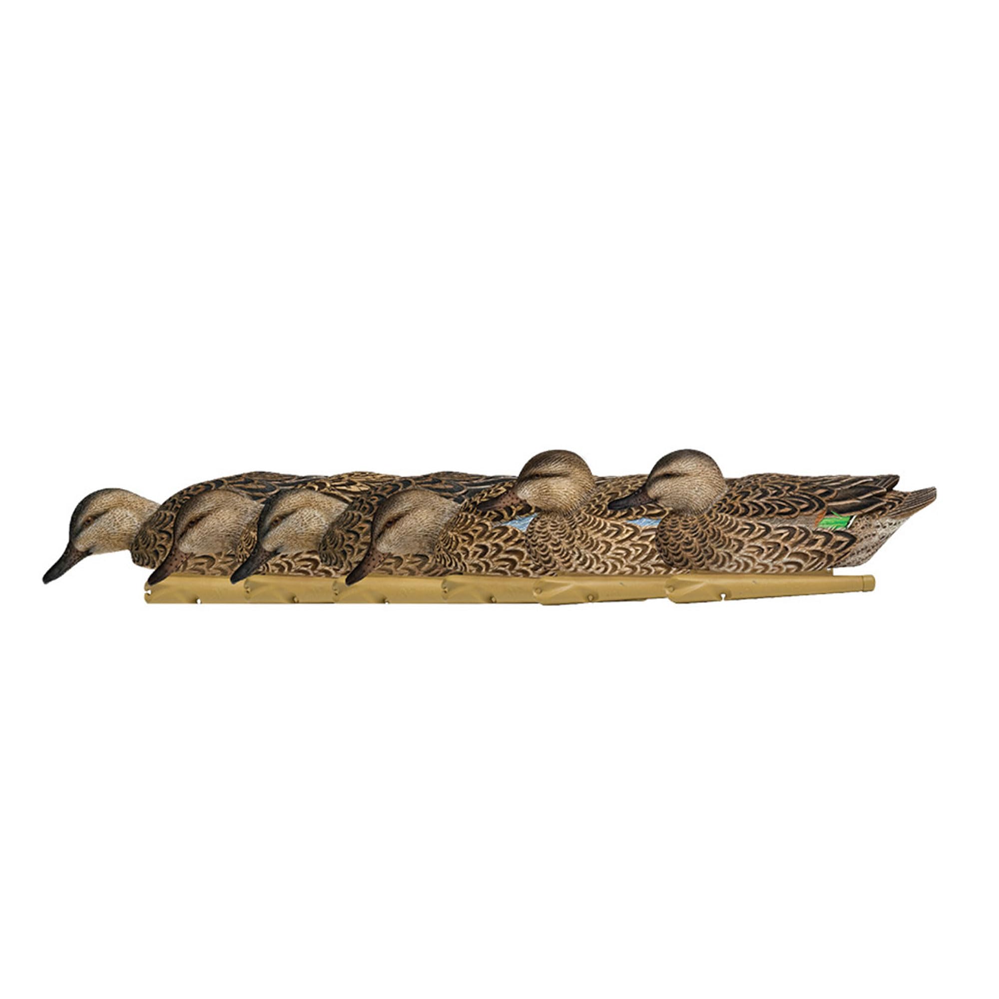 Avian-X Topflight Early Season Teal Durable Ultra Realistic Floating Hunting Duck Decoys, Pack of 6, AVX8079