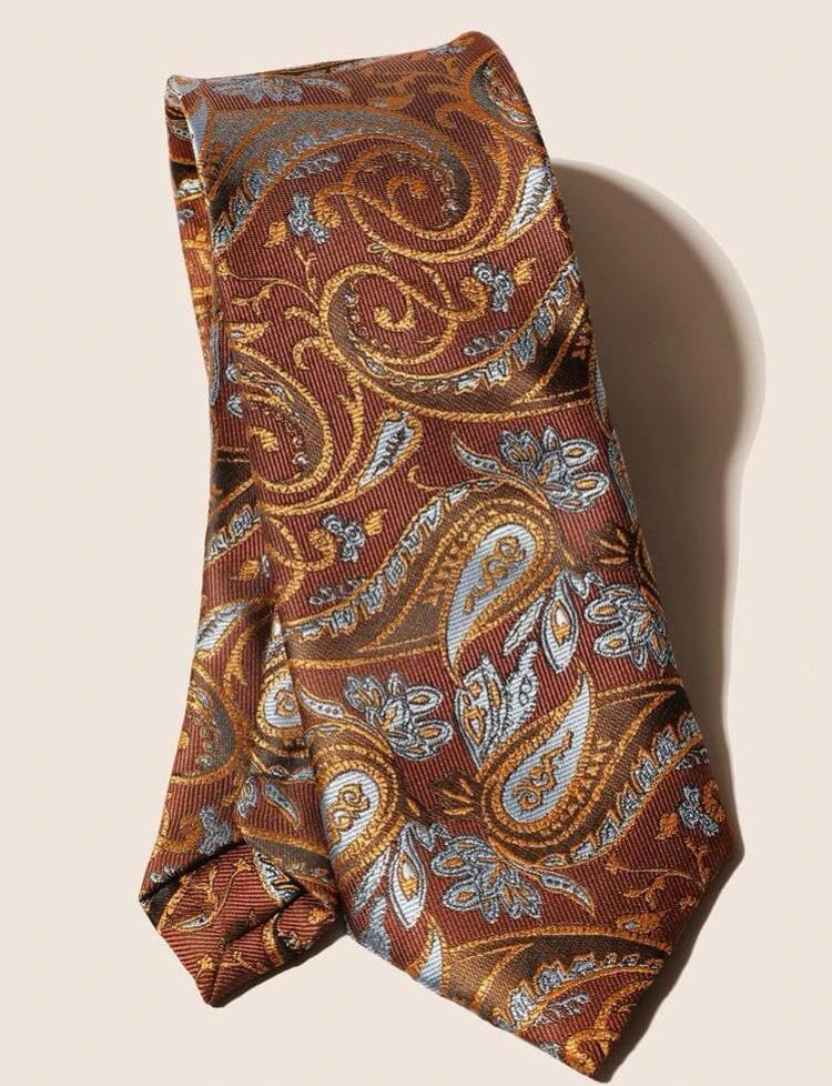 Amazon.co.jp: おすすめ商品ペイズリー柄 メンズネクタイ ブラウン