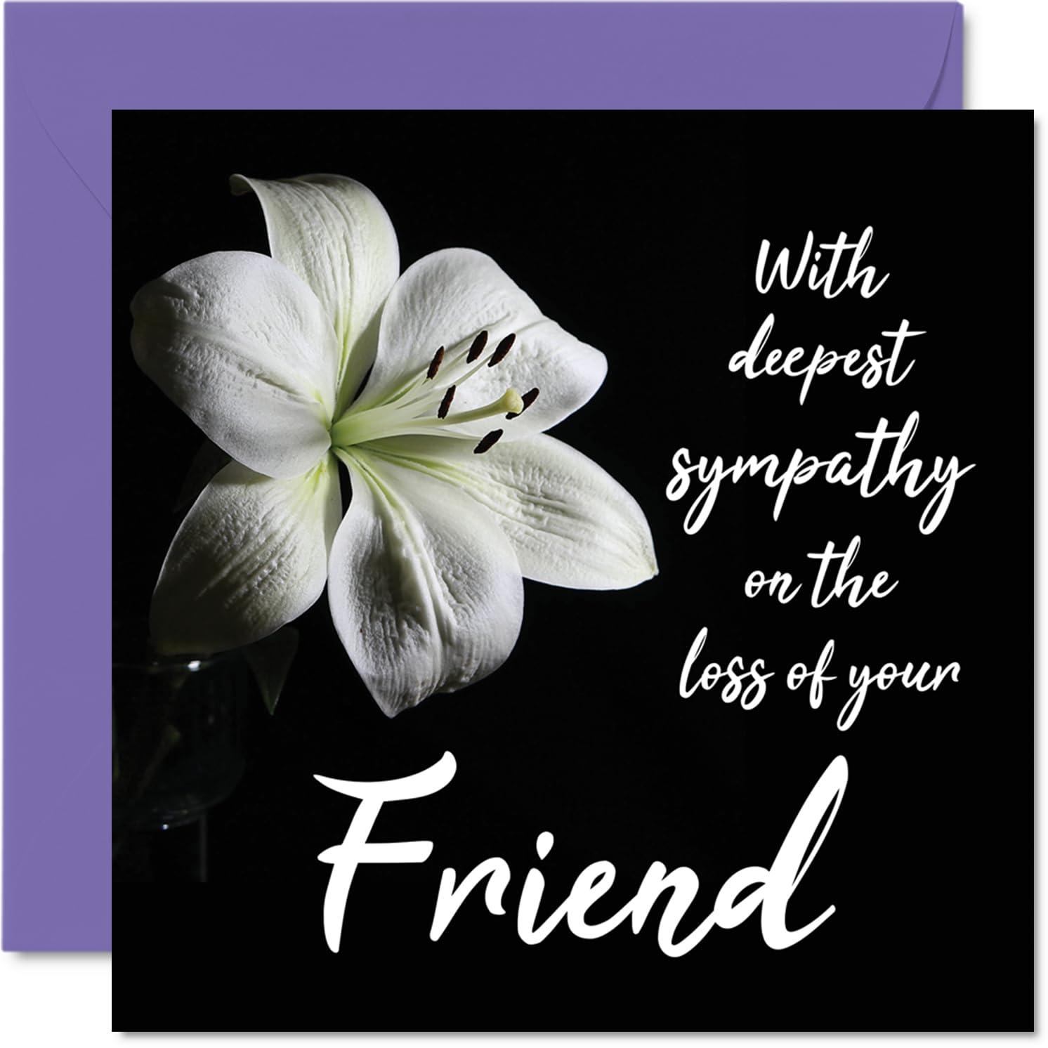 Sympathy Cards - With Deepest Sympathy About Losing Your Friends