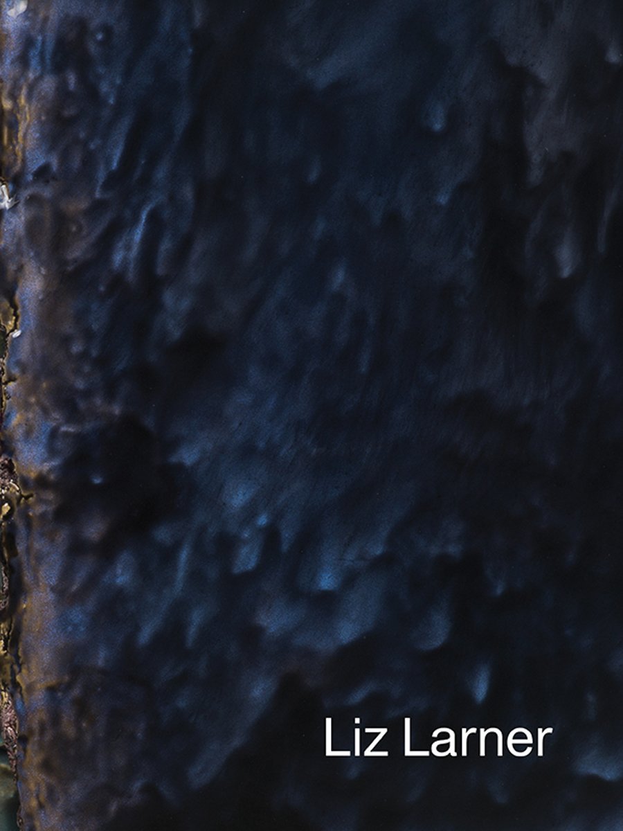 Liz LarnerLiz Larner