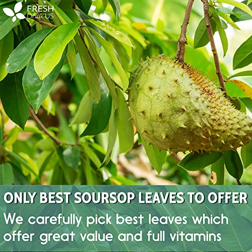 Premium Soursop Graviola 40 Leaves Tea Bags, Pure, Organic, Non-Gmo, Handmade, Made With Natural Materials-Corn Fiber Tea Bag, Made Of 100% Soursop Leaf, Sugar/ Caffeine/ Gluten Free, Hoja Guanabana Tea #TOP4