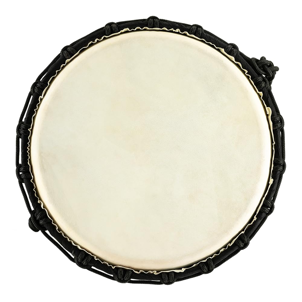 Amazon.co.jp: MEINL Percussion マイネル ジャンベ Congo series 10