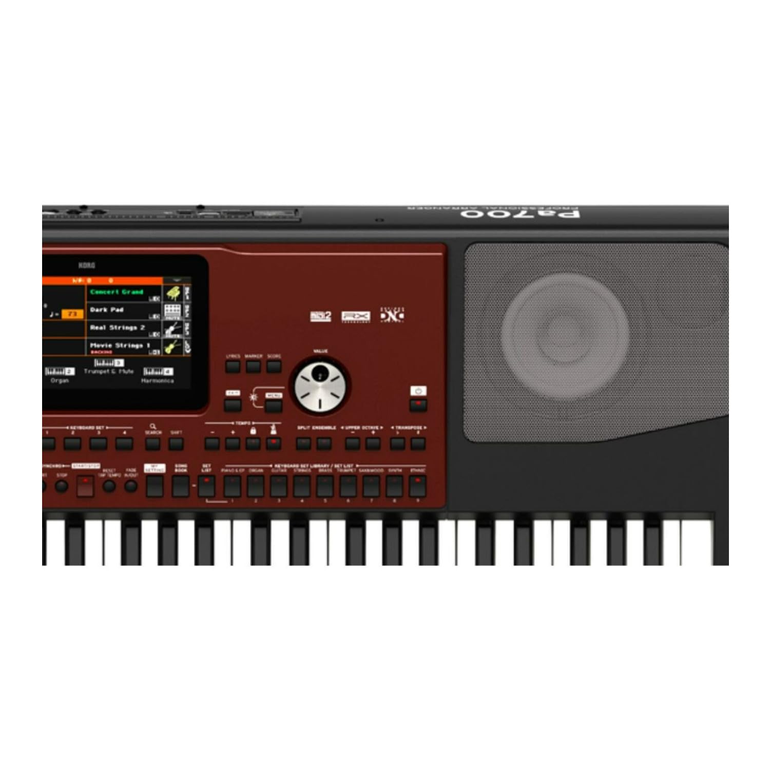 Amazon.com: Korg Pa700 Oriental Professional Arranger 61-Key with 