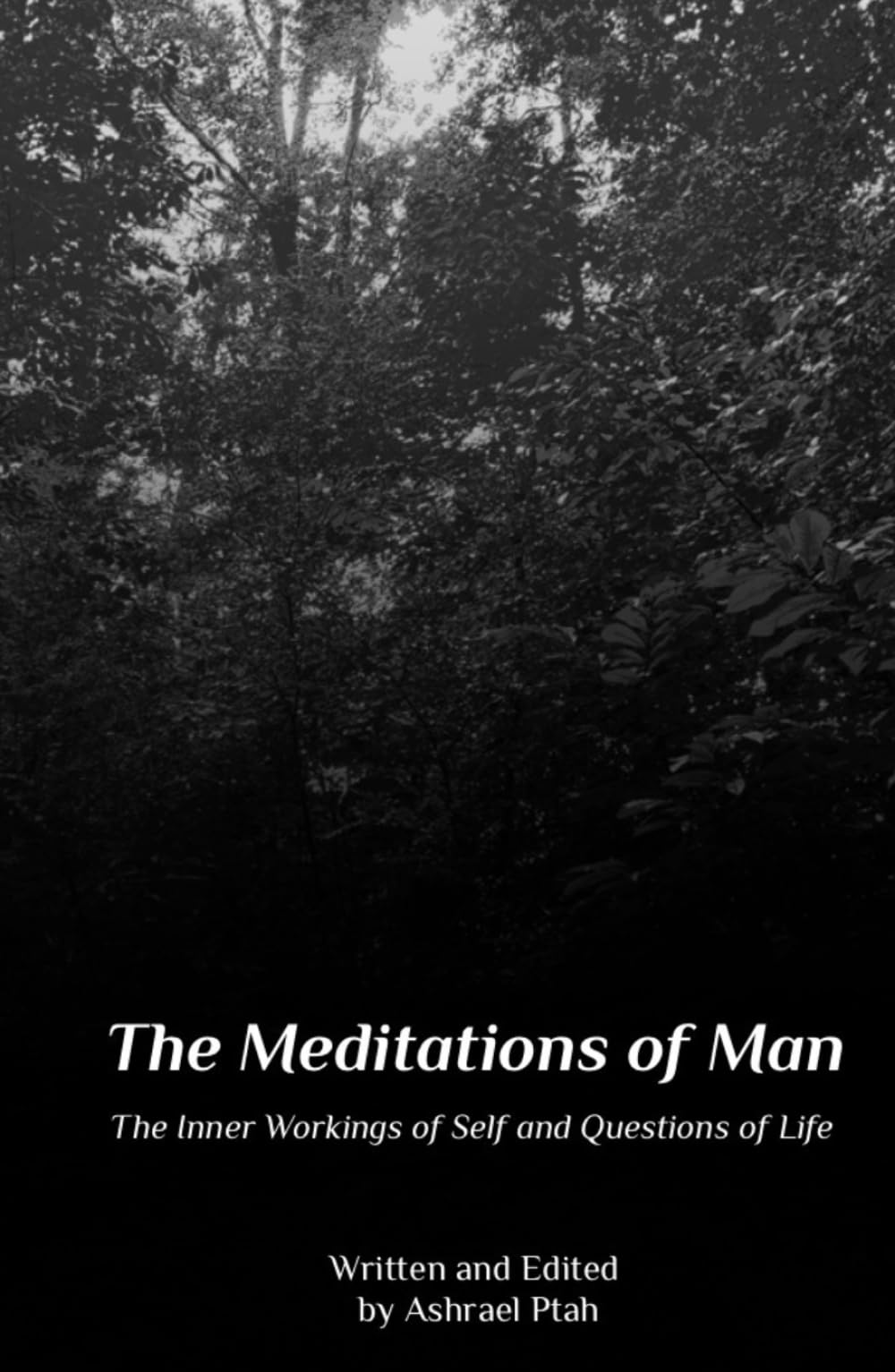 Meditations of Man: The Inner Workings of Self and Questions of Life