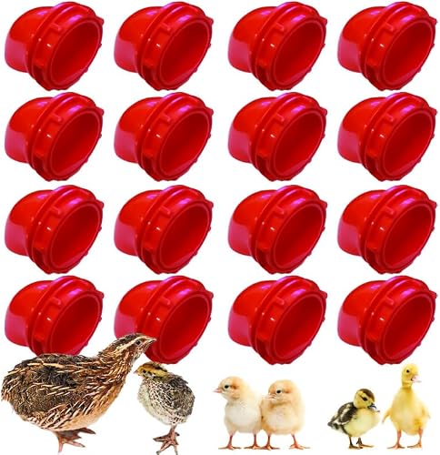 NWQuailFarm 16-pack red screw-on quail feeder ports for a DIY bucket or bin