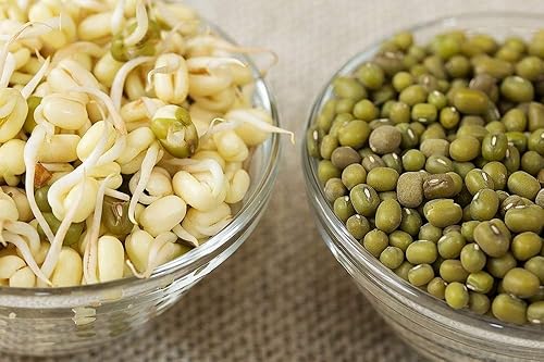 Miniatura 3 de Semillas de frijol mungo para germinar microverdes, 12 onzas, un superalimento lleno de antioxidantes y nutrientes que promueven la salud. Una