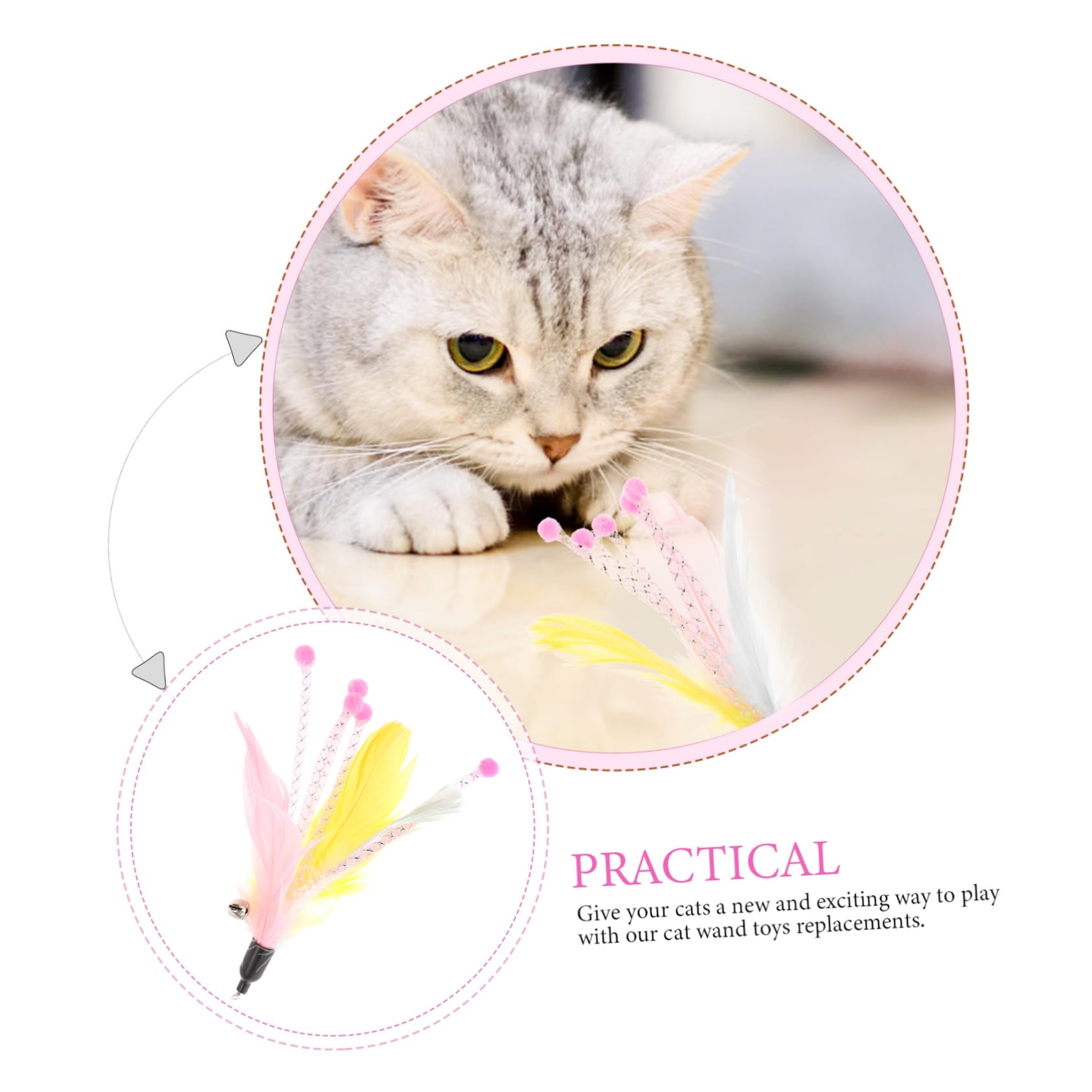 Yardwe 24stücke Teiliges Katzenfeder-spielzeugset Für Drinnen Interaktive Katzenangel Mit Federn Und Für Beweglichkeit Und Bindung Katze Und Besitzer