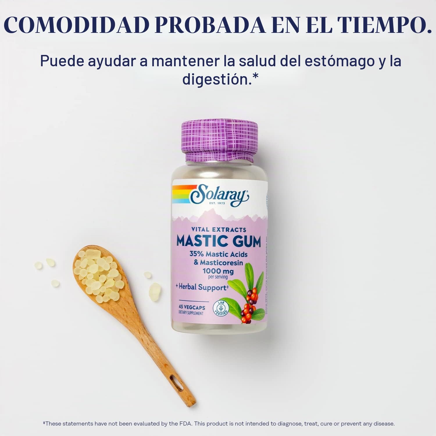 Solaray Mastic Gum 1000mg | 45 VegCaps, 45