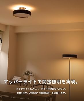 【新品未開封】アートワークスタジオ グロー シーリングライト4000 BK/LW Glow LED-ceiling light｜ARTWORKSTUDIO公式