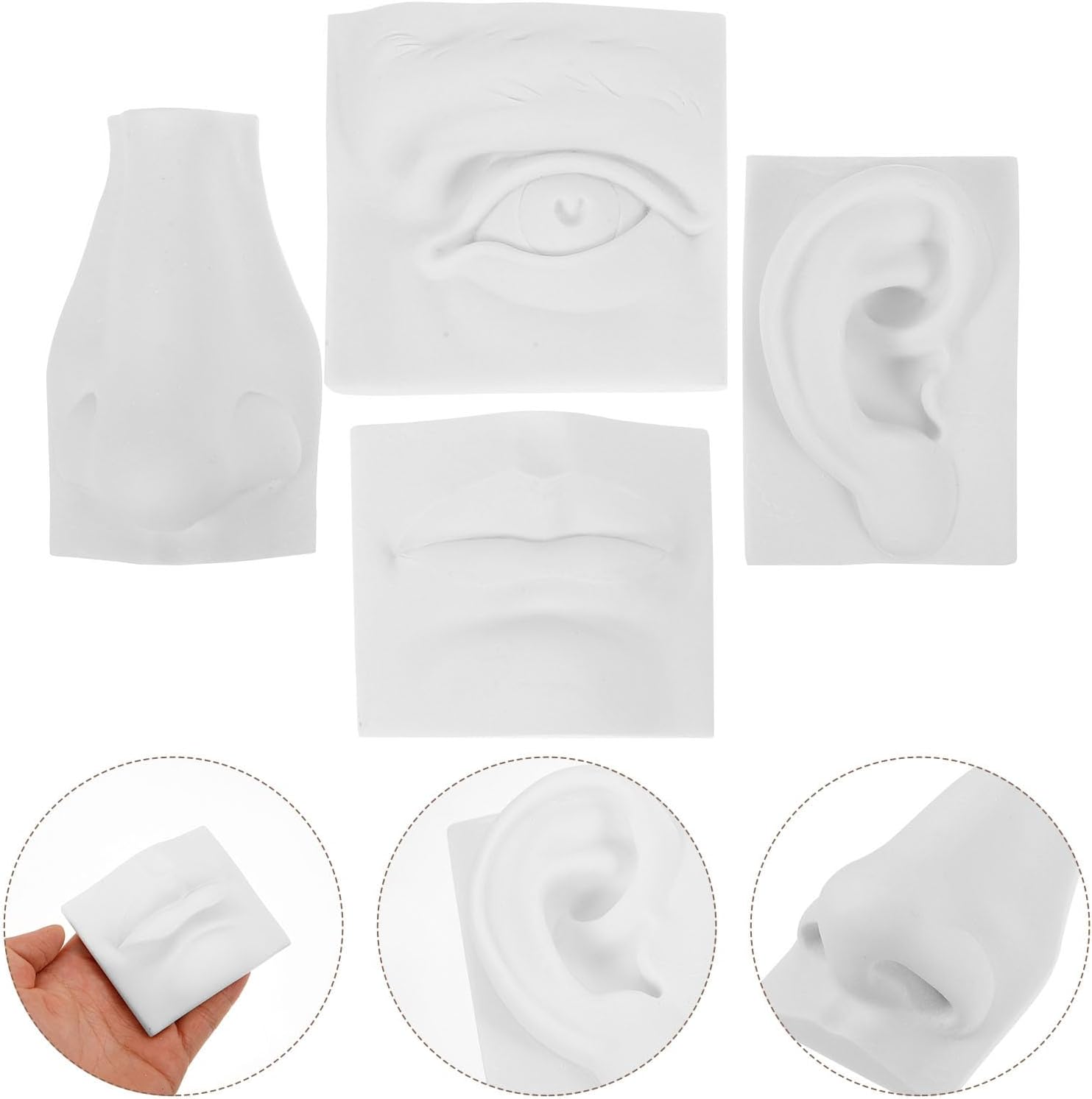 COHEALI 4Pcs Gypsum Facial Features Sculpture Set for Sketch Drawing Practice - Lightweight Eye Ear Nose Mouth Model Statue for Art Students and Home Decoration
