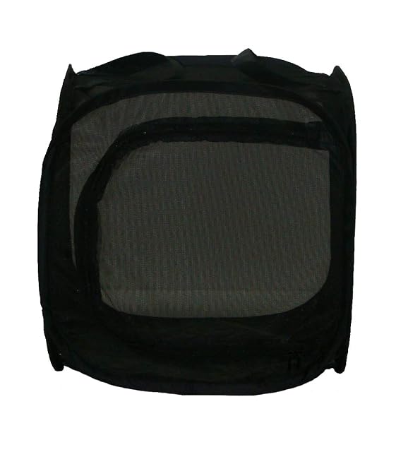 Foto 3 de 3 de Lucky Reptile OpenAir Vivarium Pop UP Klein, Circa 30x30x30 cm