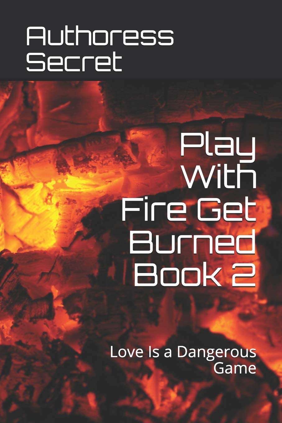 Play With Fire Get Burned Book 2: Love Is a Dangerous Game