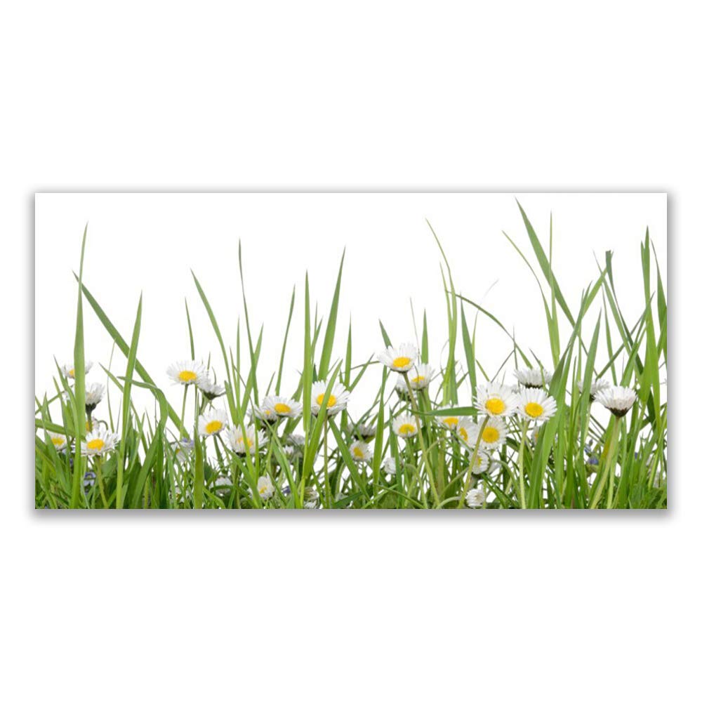 Impression sur verre trempé 120x60cm herbe marguerites tableau déco mural moderne