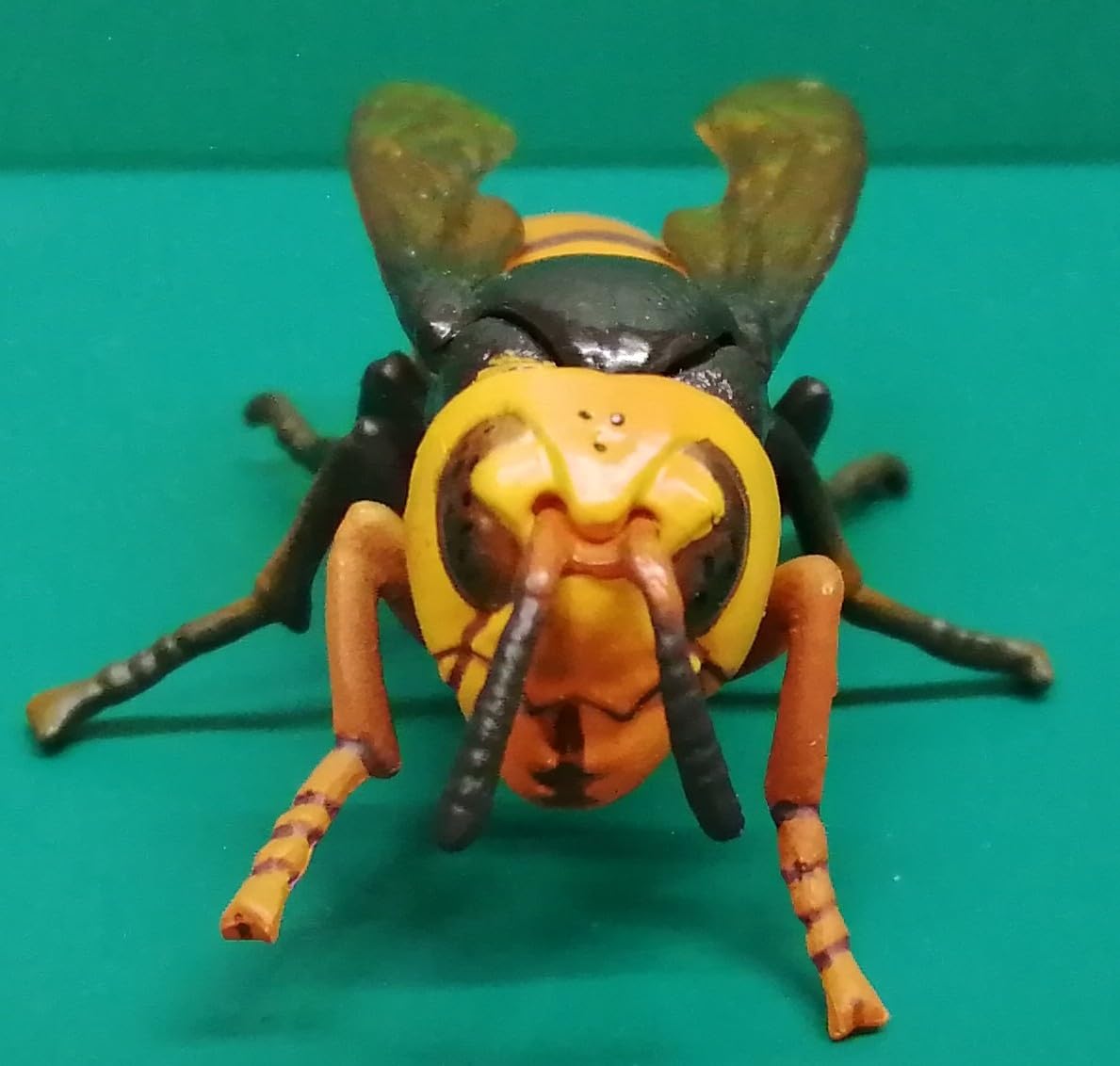 Amazon | オオスズメバチ チョコQ 日本の動物 第7弾 スズメバチ 蜂