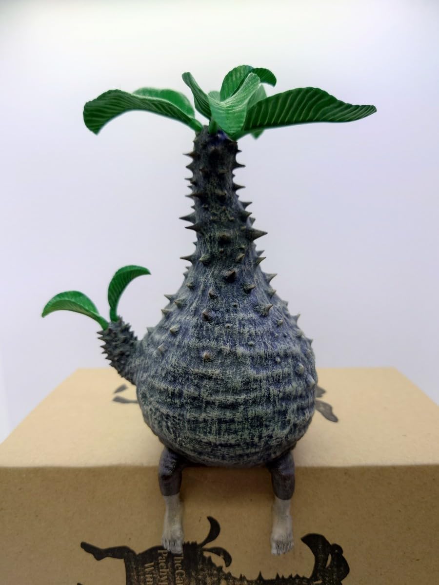 Amazon.co.jp: OZWRT TheCaudexMan PachypodiuMan Windsoriiオペルクリ