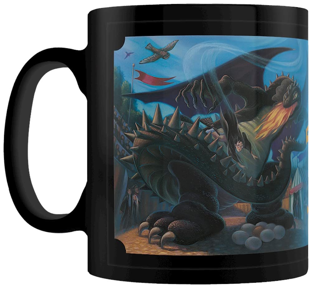 Pyramid International Harry Potter Mug in Presentation Gift Box (Anything is Possible Design) 11oz Ceramic Mug