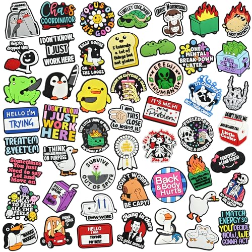 Funny Pins Bulk for Adult, 20PCS Random Different Humor...