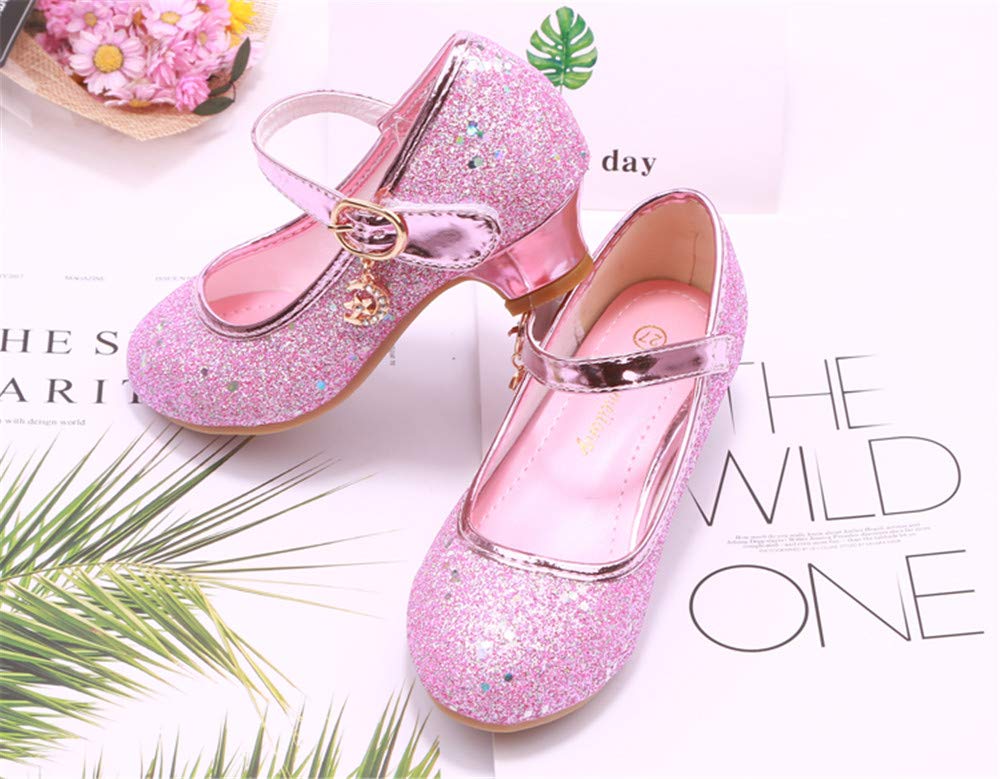 Mädchen Schuhe Prinzessin Festliche Schuhe Niedriger Absatz Glitzer Schuhe Kinder Hochzeit Schuhe zum Abendkleid Fasching Halloween Karneval Tanzball Party Lila Pink Silber Blau Gr 27-38
