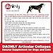 DAONLY colágeno Natural antiinflamatorio para Perros |180 Comprimidos| Pastillas Naturales | Alternativa...