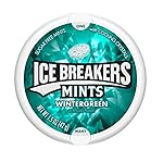 Ice Breakers Wintergreen – Sugar Free Mints from USA – 42gm