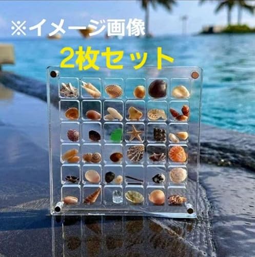 貝殻 小物入れ」の人気商品一覧 | 安い商品を通販サイトから探す