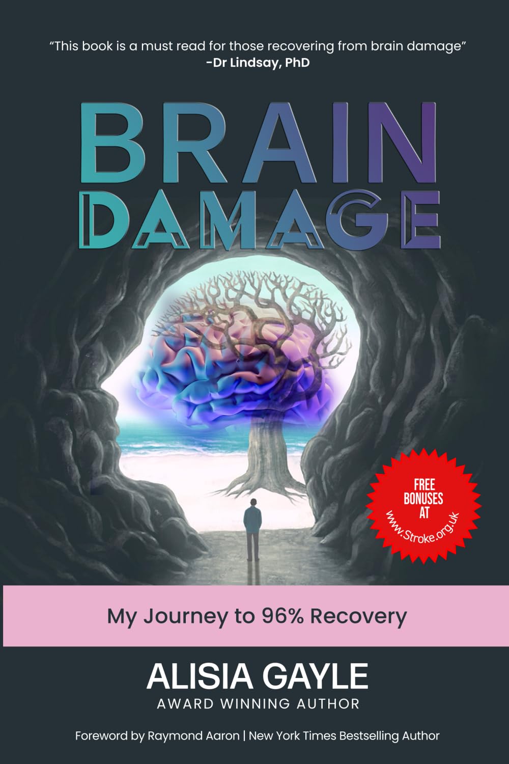 Brain Damage: My Journey to 96% Recovery