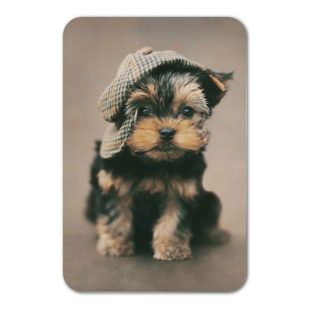 Lawenp Yorkie Yorkshire Terrier Dog Vintage Wall Decor Bar Decor Aluminum Sign for Home Kitchen Bar Funny Sarcastic Metal 8 x 12 Inches Tin Sign
