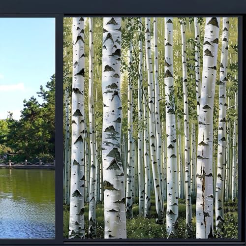 Vinilo adhesivo para ventana Watercolor Birch Tree 15.7x23.6 in miniatura 6