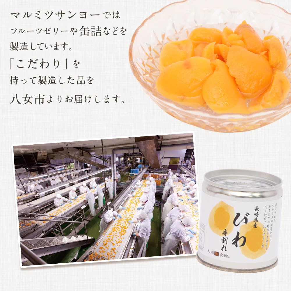 Amazon.co.jp: 九州旬食館 びわ（身割れ）缶詰 8個 セット 国産 缶詰め
