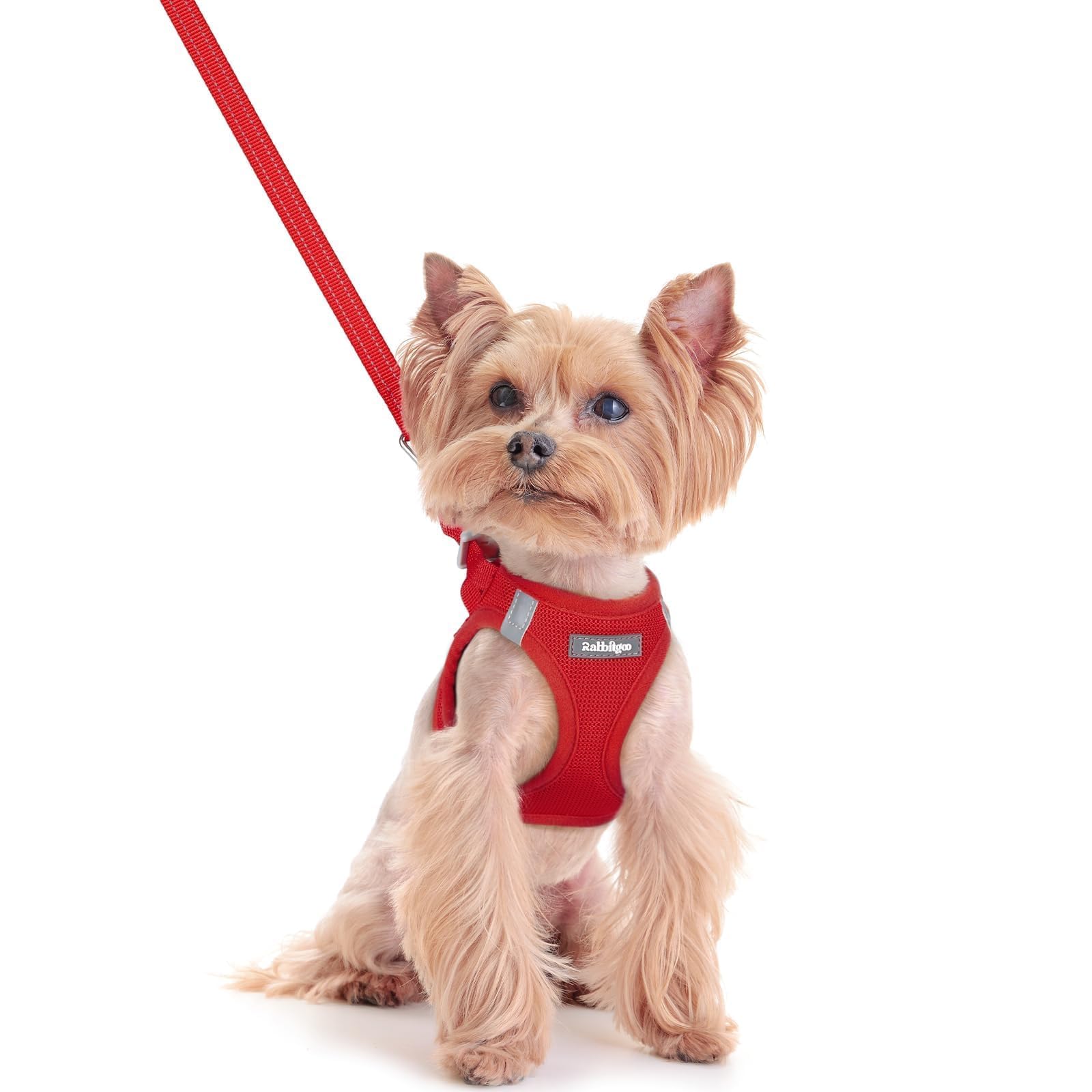 rabbitgoo Dog Harness Small Dog and Leash Set, Step-in Soft Mesh Puppy Harness with Reflective Strips, Lightweight Breathable Pet Vest for Walking Training, Red, XXS
