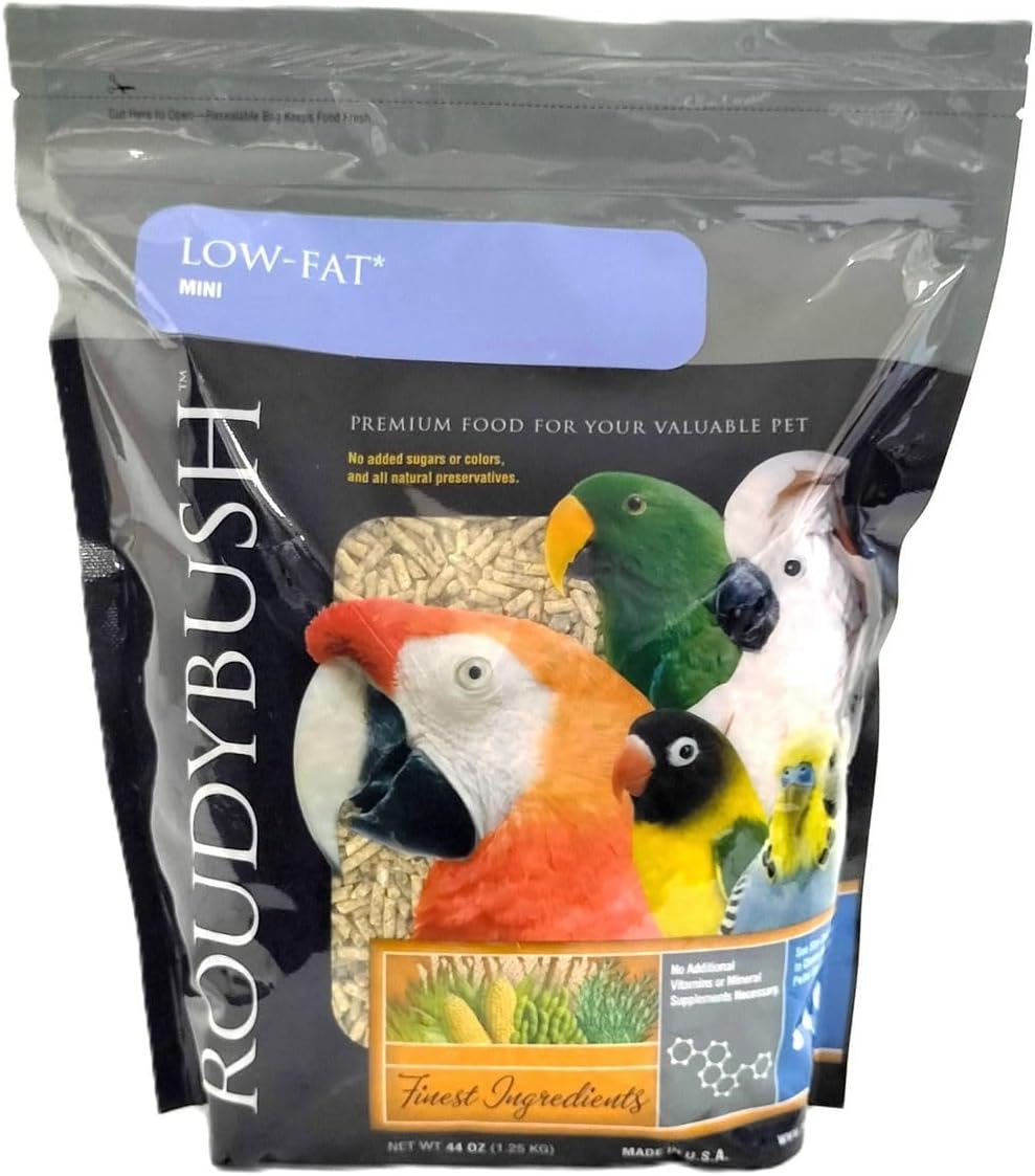 アガベ 吉祥あエクスパンサー セット 大小2点 アガベ 吉祥あエクスパンサー セット 大小2点 アガベ 吉祥あエクス