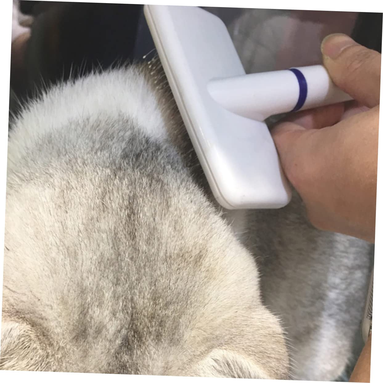 INOOMP Brosse de Toilettage pour Chien Peigne Anti-mue Accessoires de Toilettage Portables pour Animaux de Compagnie