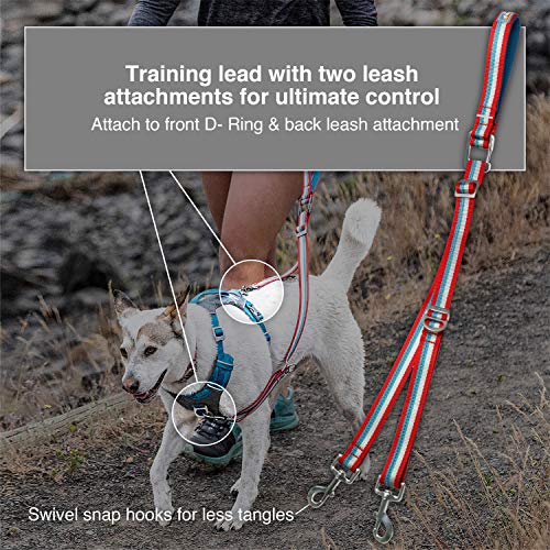 Kurgo Walk About Dog Training Reins, Two Control Point Leash, No Pull Training Leash For Dogs, Double Dog Leash, Adjustable, Reflective, Tangle-Free, Chili Red/Coastal Blue #TOP1