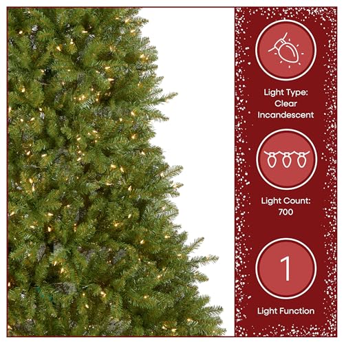 National Tree Company 7 ft Pre-Lit Dunhill Fir Full Artificial Christmas Tree, 700 Warm White LED Lights, 2,144 Tips, Includes Stand, Green by National Tree Company - Image 6