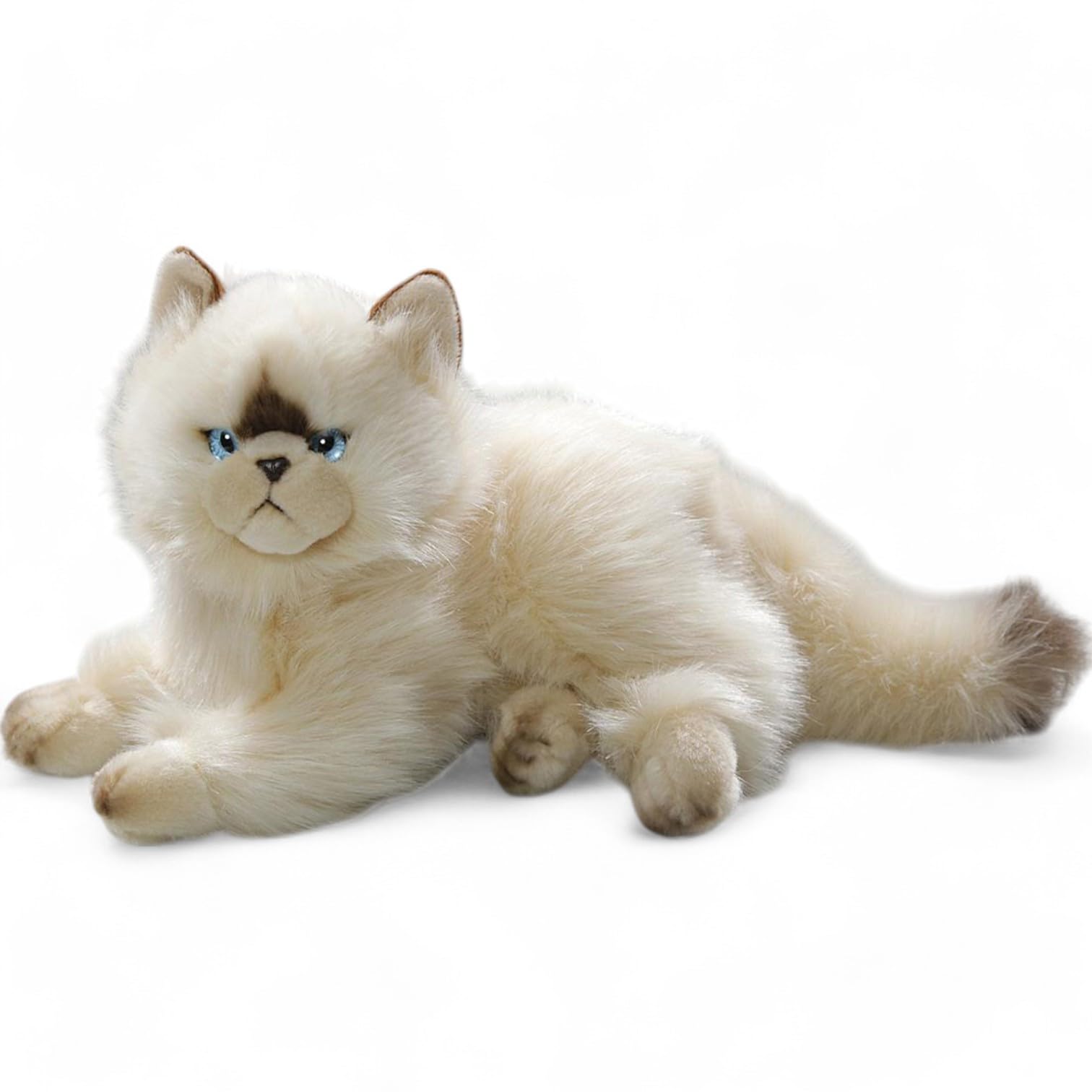 Carl Dick Cat, Himalayan Chocolate Point, Persian 12 inches, 30cm