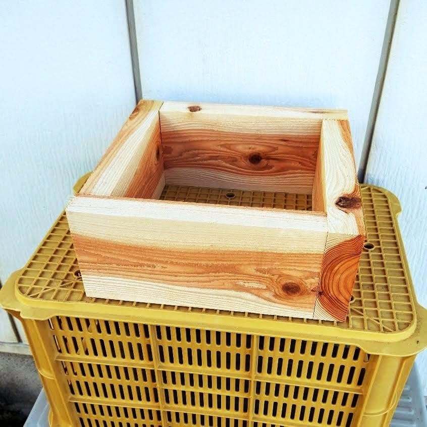 Amazon.co.jp: 日本ミツバチ 重箱式 巣箱材 杉 24枚 プレーナー 蜜蜂 Amazon.co.jp: 日本ミツバチ 重箱式 巣箱材 杉 24枚 プレーナー 蜜蜂