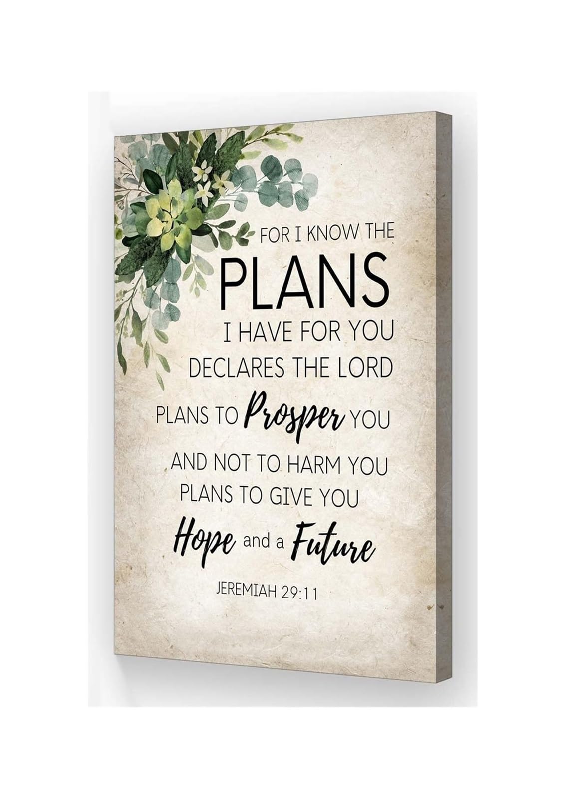 RNUMLIGH Retro Christian Bible Verse Art Framed Print I Know The Plans I Have for You for Farmhouse Living Room Decor(Framed,12X18inch(30X45cm))
