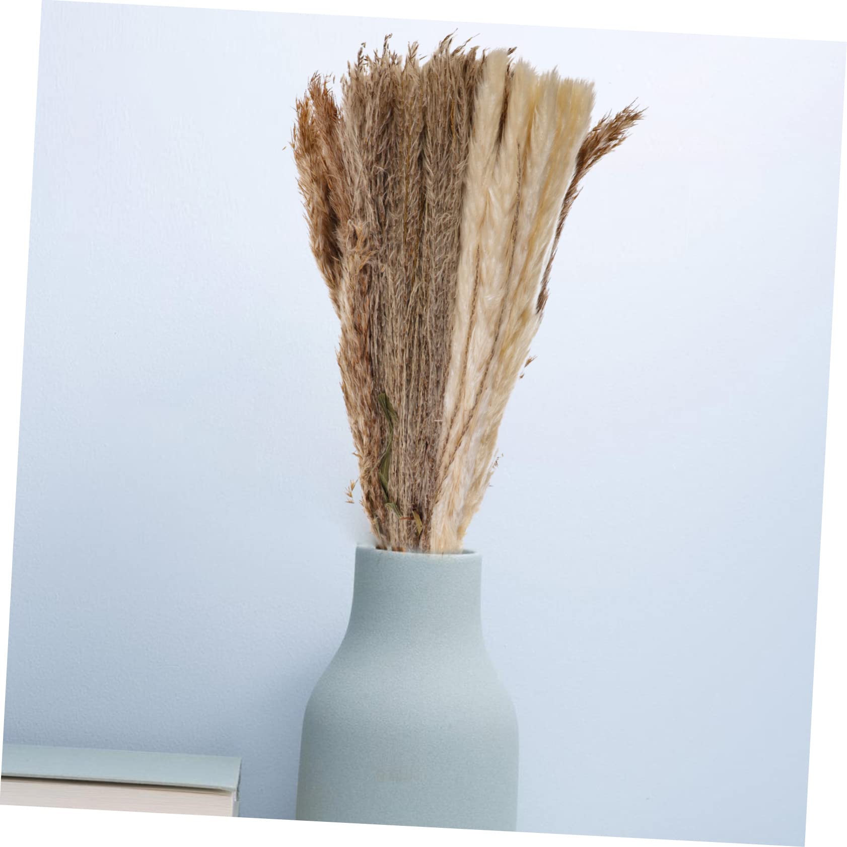 ifundom 2ensembles Vase Décor Herbe De Pampa Séchée De Fleurs Artificielles pour Décoration Intérieure Et Événements Spéciaux