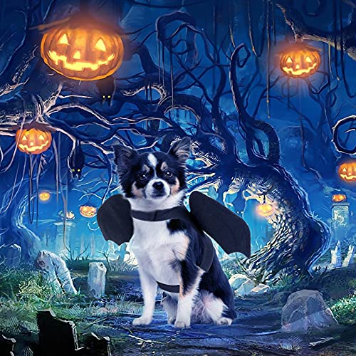Rypet Dog Halloween Costume - Halloween Bat Wings Pet Costumes For Dogs Cats Halloween Party Medium #TOP4
