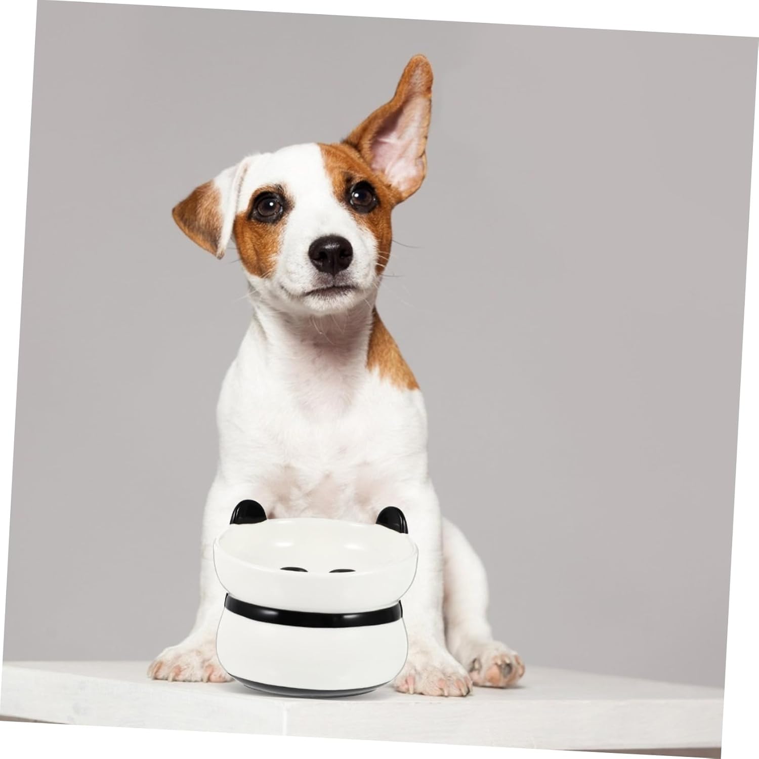 Cat Feeder Bowl Neck Pet Bowl for Comfortable Eating Easy to Stable Design for Cats and Kittens for Food and Water