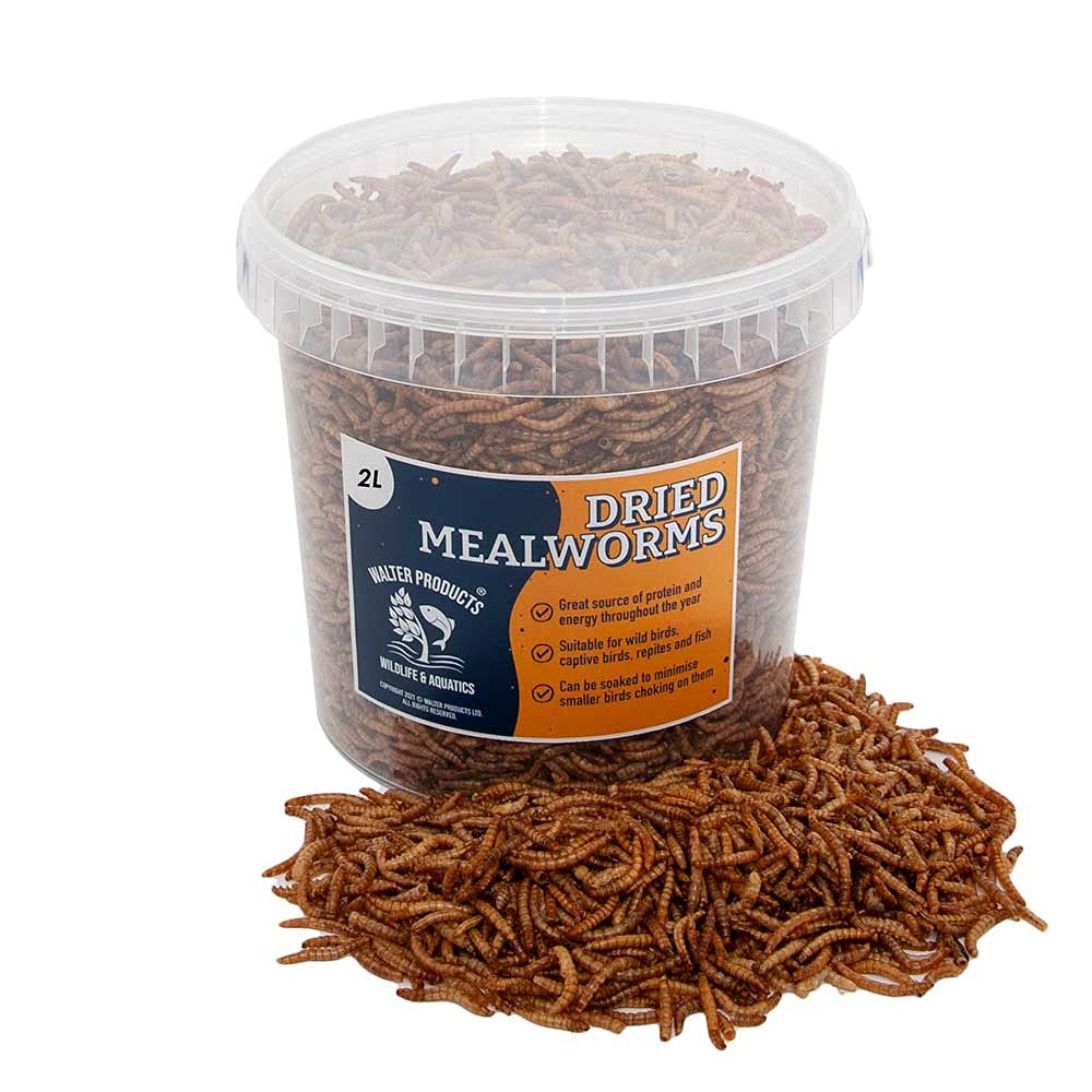 Buy Walter’s Meal Worms (2L Tub 530g) Dried Mealworms for Birds