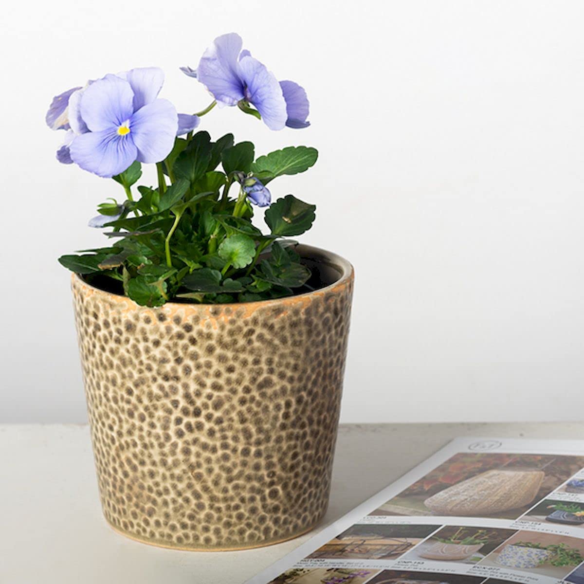 212 Main Beige Pebbled Look Planter