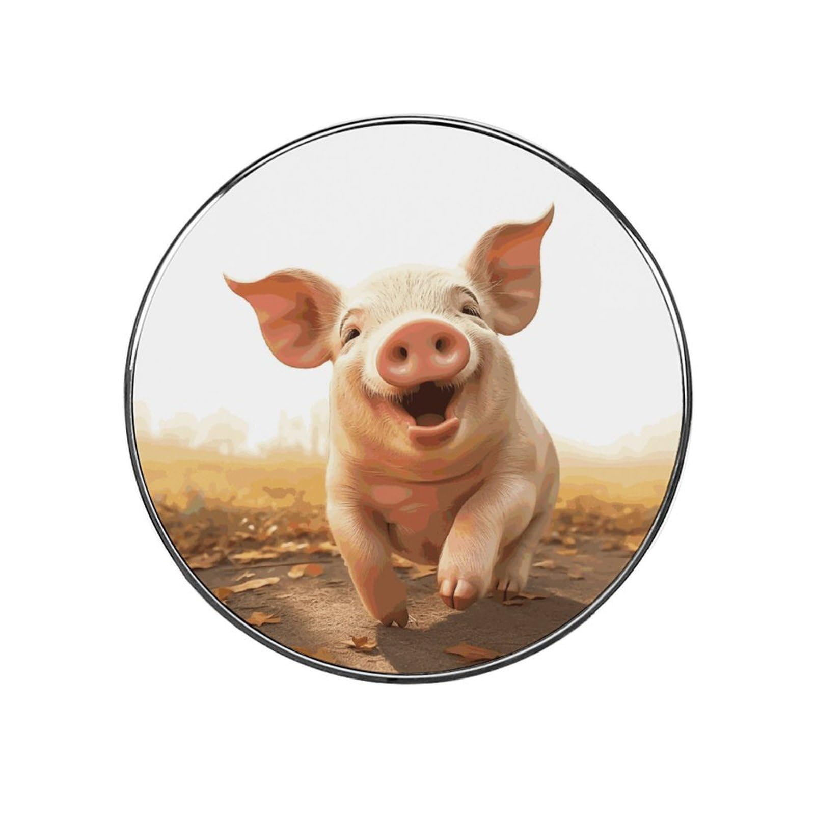 Adfgyerh Style Smiling (17) Refrigerator Magnets Circular Design，Stickers Home Decorations，Fridge Magnets For Fridge Plant Lovers Kitchen Office Locker Whiteboard Car Garage Decor.
