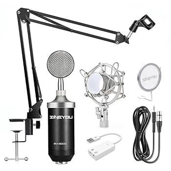 Amazon | ZINGYOU BM-8000 プロフェッショナル スタジオ