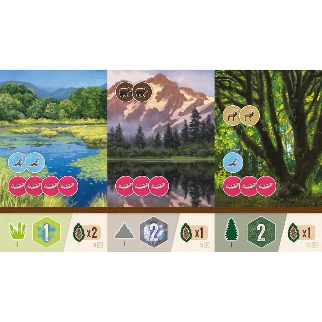 AEG Alderac Entertainment | Cascadia Rolling Hills Jeu de Société en Anglais pour Toute la Famille | Jeu de Stratégie avec Dés pour 1-4 Joueurs | La Faune du Nord-Ouest Pacifique