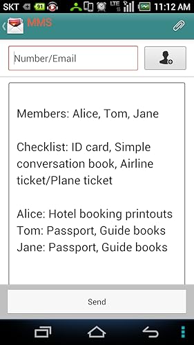 Travel packing checklist(Mint T Bag)