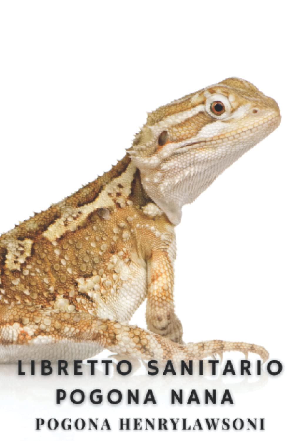 Libretto Sanitario - Pogona Nana (Pogona henrylawsoni): Alimentazione, Muta, Taglia, Peso, Manutenzione mensile, Riproduzione, Veterinario, ...
