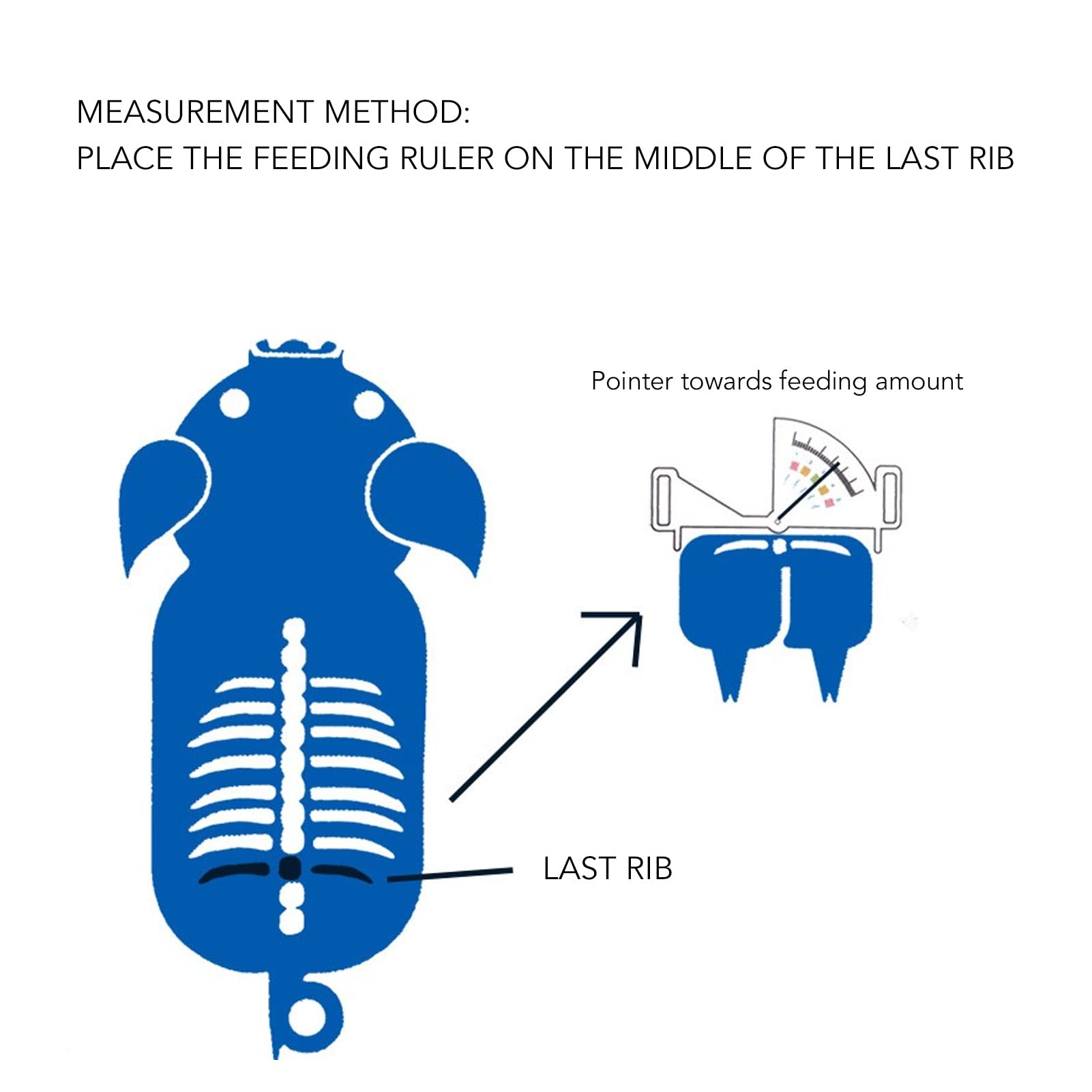 Pwshymi Pig Feeding Ruler, 5 Measuring Intervals Easy Operation Lightweight Stainless Steel Sow Backfat Ruler Caliper Pointer Type with Plastic Handles for Household Use