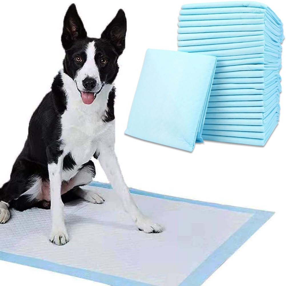Bodyplus Blue And White Puppy Pads 50 Pack 60X45cm – Heavy Duty Large Dog Pee Pad With 5-Layer Leakproof Absorbent Core – Puppy Training Pads For Indoor Puppy House Training