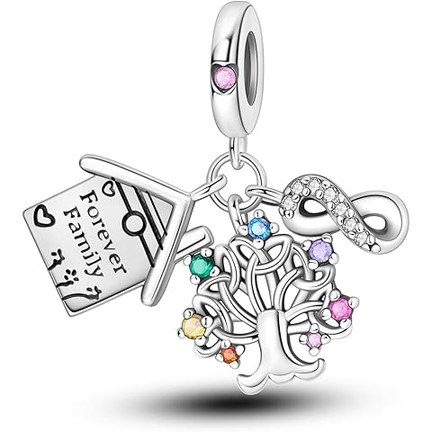 MULA 925 Sterling Silver Charms for Bracelets and Necklaces Airplane Passport Dangle Pendants Beads Butterfly Dragonfly Charms Jewelry Charm for Women
